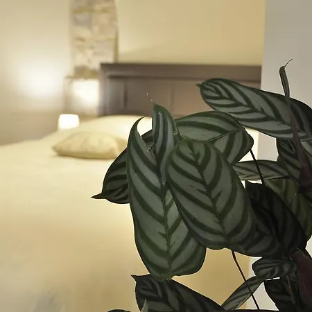 Stagnja Gostinjska kuća 4*