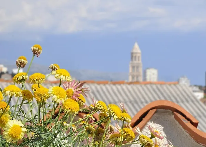 Stagnja 4* スプリト